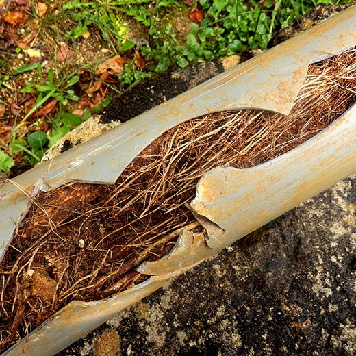 Same Day Drain Sewer & Rooter Pros Across Londonderry